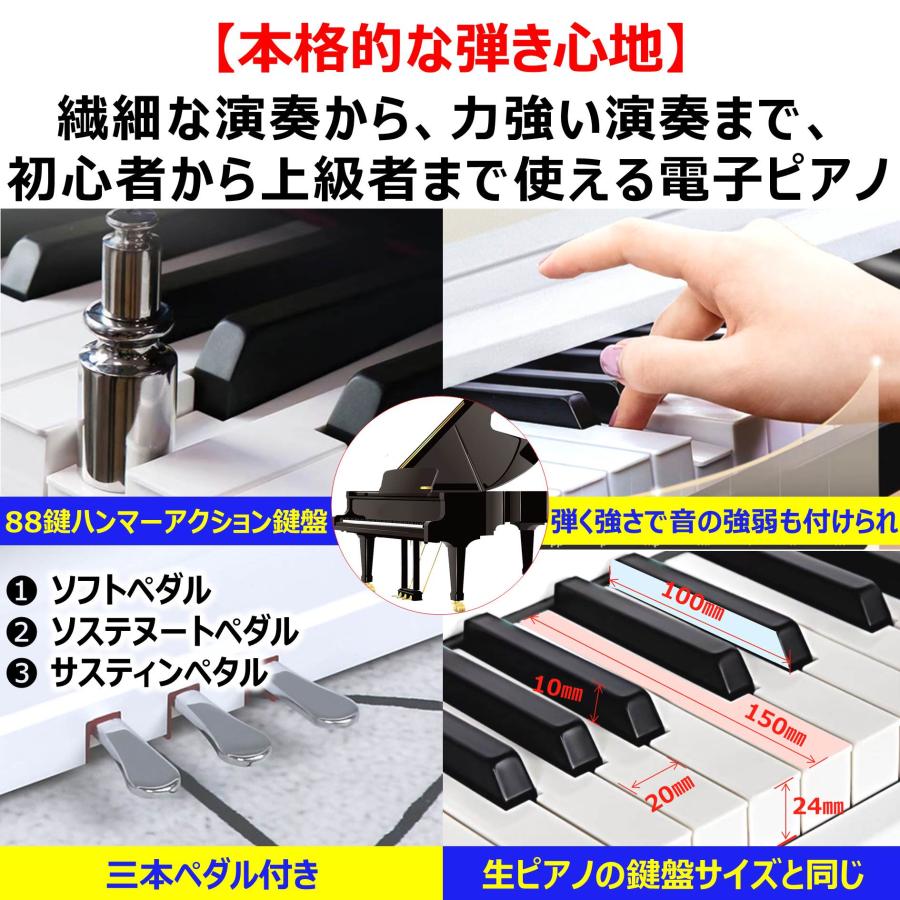2022年10月最新版 高音質 ハンマーアクション鍵盤 日本語表記パネル 