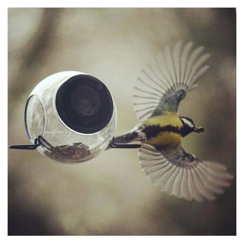 北欧雑貨 Born In Sweden バードフィーダー Birdfeeder 小鳥の巣 家 おしゃれ 人気 Apis Bor インテリア雑貨のマッシュアップ 通販 Yahoo ショッピング