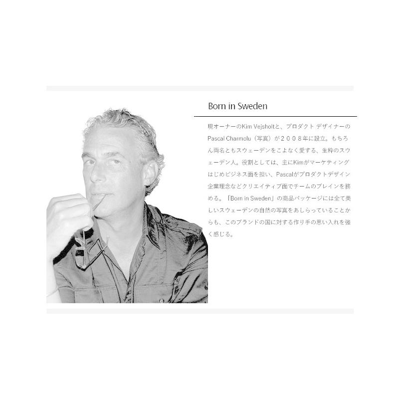 北欧雑貨 Born in Sweden  スフィア・ベース（S） ステンレス/コッパー/ゴールド Sphere Vase 花瓶 おしゃれ 人気の画像