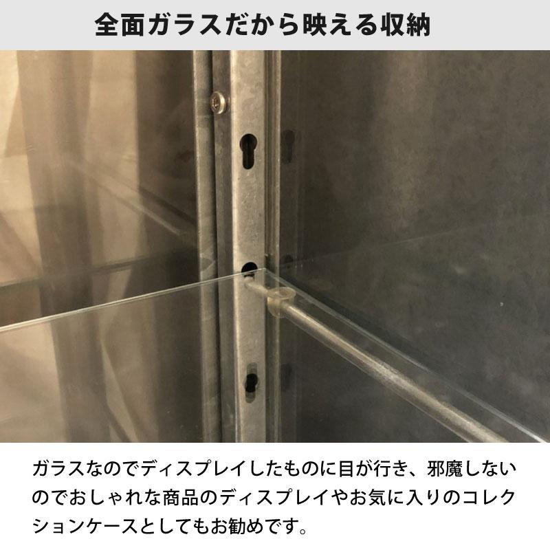 ダルトン ドクター キャビネットL ガラスのコレクションケース ダルトン ドクター キャビネットL ガラスのコレクションケース