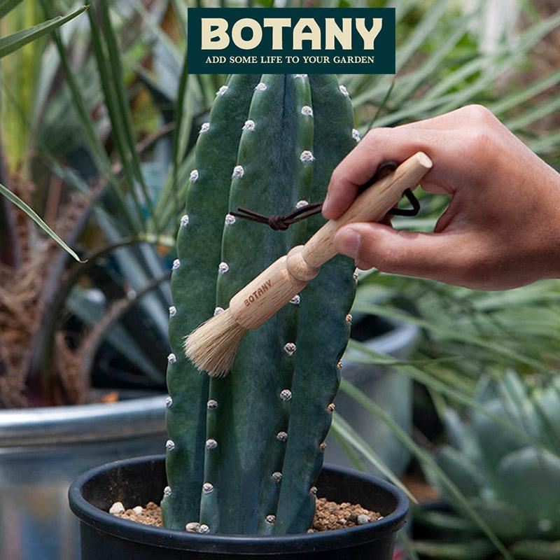 DULTON（ダルトン） BRUSH PEN ブラシ ペン かっこいい BOTANY 男前