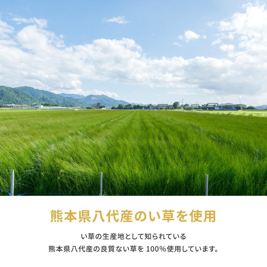 国産い草カーペット 琥珀 本間8畳 382×382 抗カビ・消臭 おしゃれ 人気_3