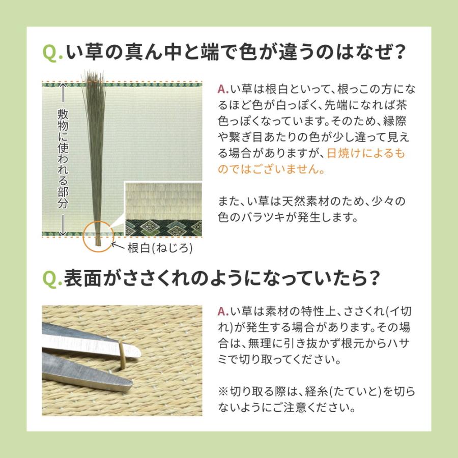 国産い草カーペット 琥珀 本間8畳 382×382 抗カビ・消臭 おしゃれ 人気_9