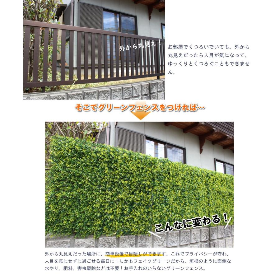リアルグリーンフェンス 約1m×1m 緑のカーテン 目隠し ベランダ リアルグリーンフェンス 約1m×1m 緑のカーテン 目隠し ベランダ