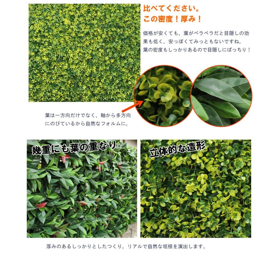 リアルグリーンフェンス 約1m×1m 緑のカーテン 目隠し ベランダ リアルグリーンフェンス 約1m×1m 緑のカーテン 目隠し ベランダ