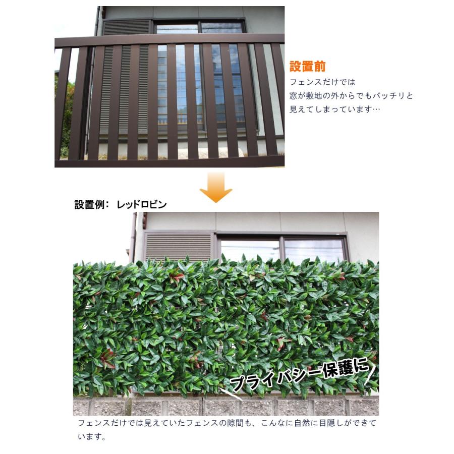 リアルグリーンフェンス 約1m×1m 緑のカーテン 目隠し ベランダ リアルグリーンフェンス 約1m×1m 緑のカーテン 目隠し ベランダ