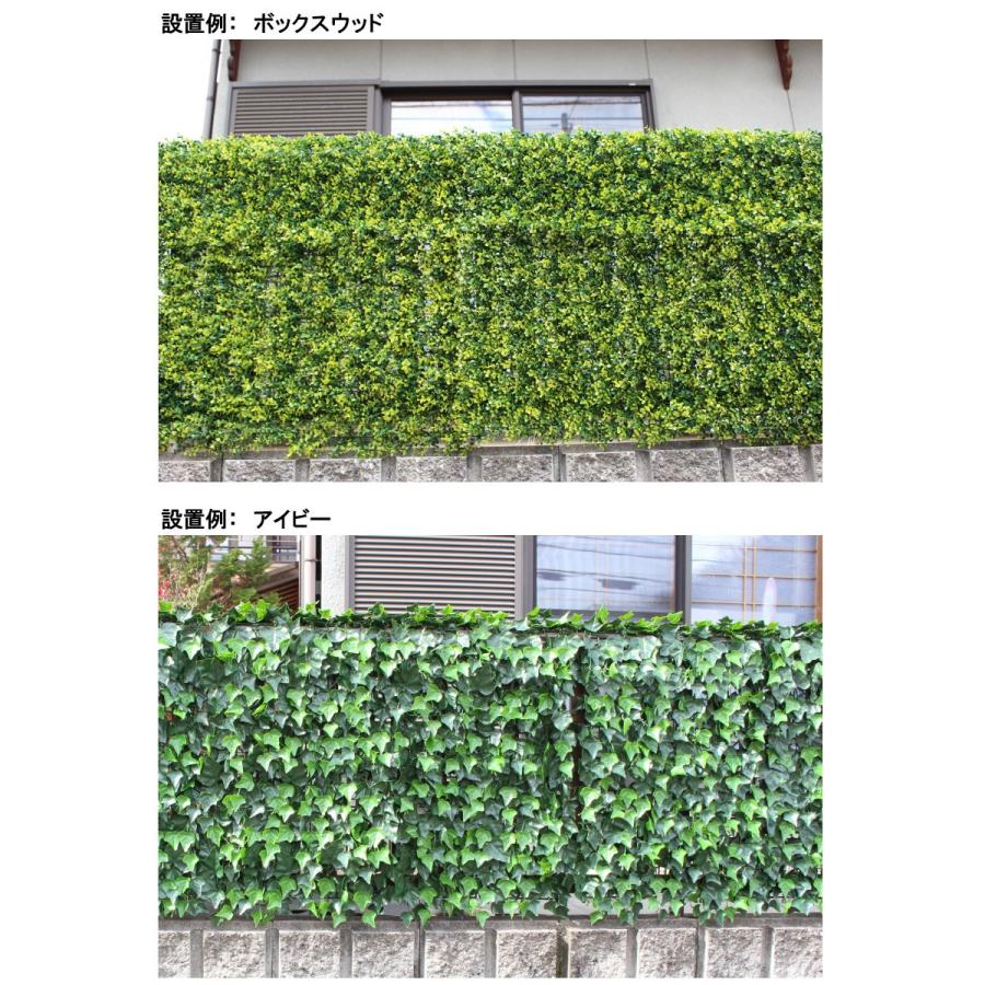 リアルグリーンフェンス 約1m×1m 緑のカーテン 目隠し ベランダ リアルグリーンフェンス 約1m×1m 緑のカーテン 目隠し ベランダ