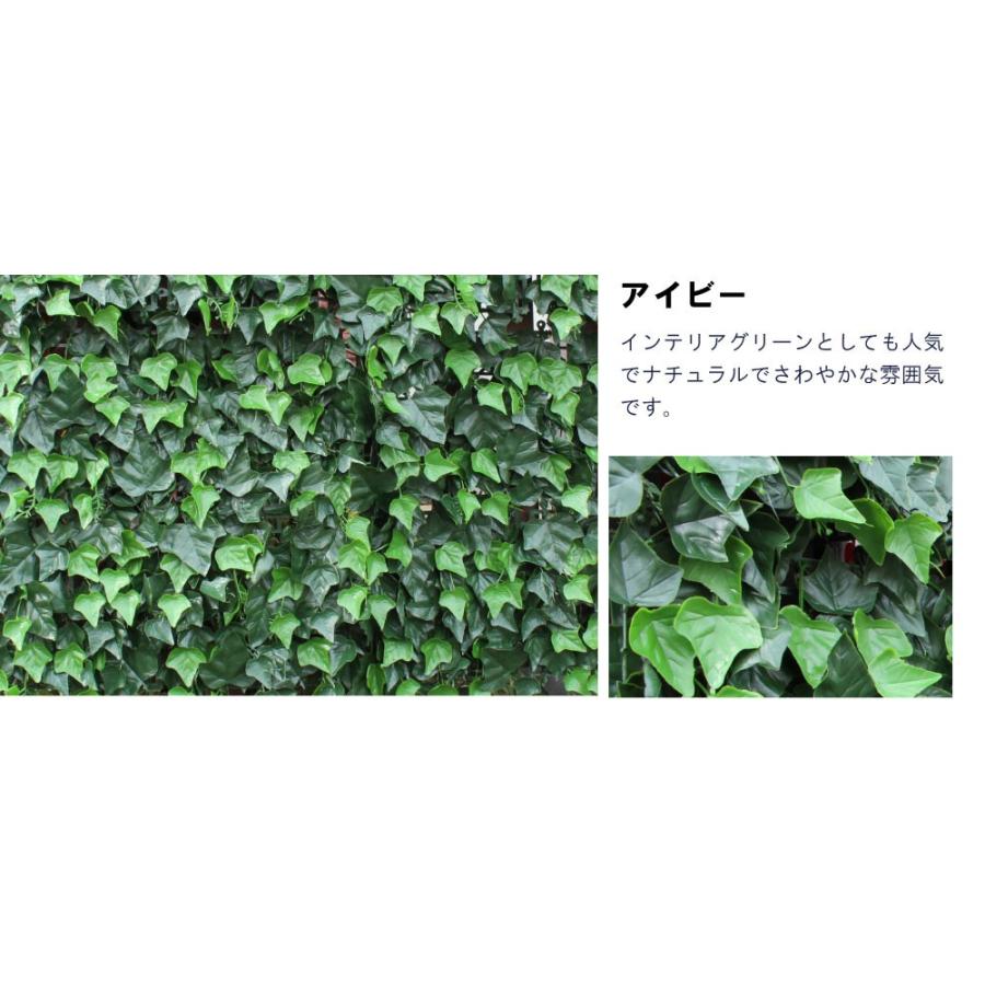リアルグリーンフェンス 約1m×1m 緑のカーテン 目隠し ベランダ リアルグリーンフェンス 約1m×1m 緑のカーテン 目隠し ベランダ