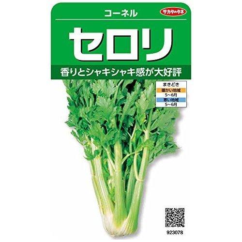 サカタのタネ 実咲野菜3078 コーネル セロリ 超爆安 セロリ