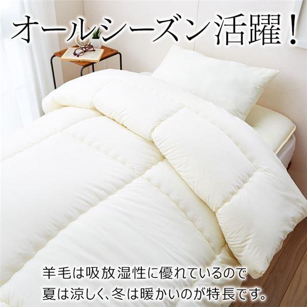 大特価 ふんわりキャメル肌掛けふとん クィーン admissionoffice.ge