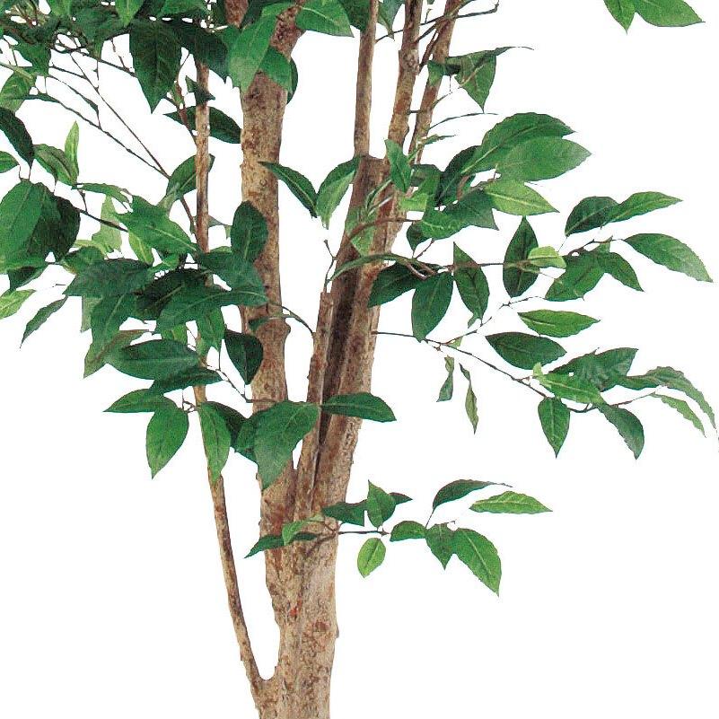 人工観葉植物 ファイカスツリー （ポット付き） グリーン 高さ215cm （P285-a50774) （代引き不可）_2