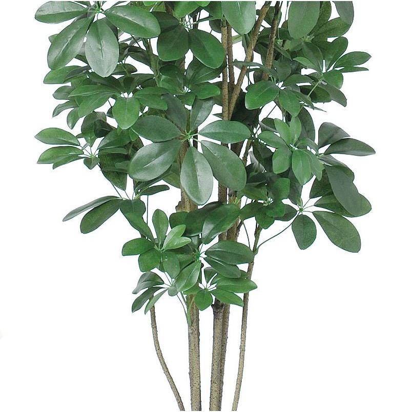 人工観葉植物 シェフレラ （ポット付き） グリーン 高さ180cm （P286-a50899) （代引き不可）_2