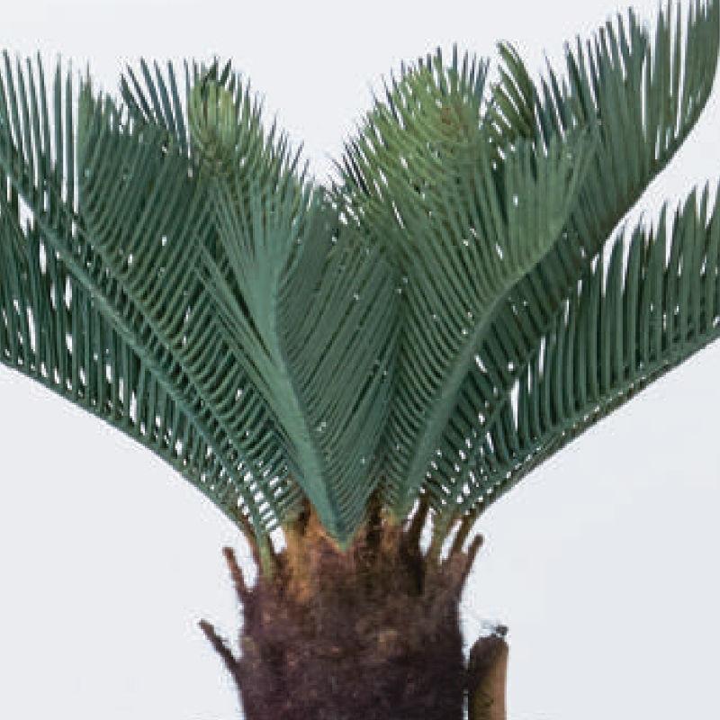 人工観葉植物 ソテツ ポット 43 （2個入り） 991880 （代引き不可） p63の画像