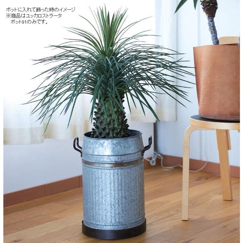 人工観葉植物 ユッカ ロストラータ ポット 91 （1個入り） 991960 （代引き不可） p59_2