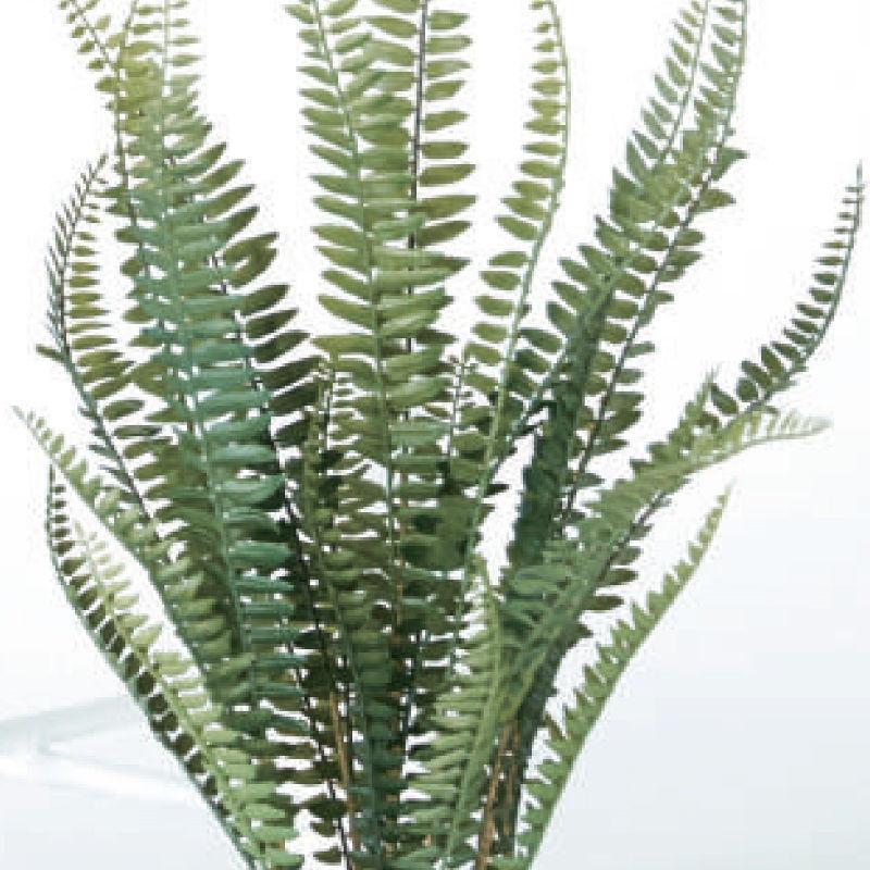 人工観葉植物 ボストンファーン ポット 56 （4個入り） 991990 （代引き不可） p34の画像