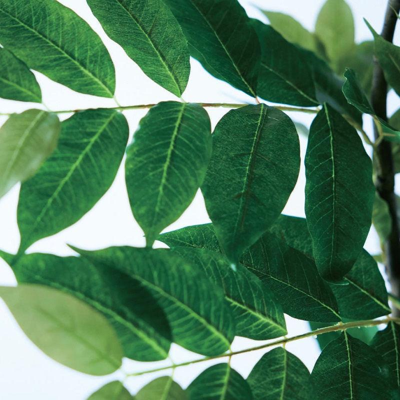人工観葉植物 コーヒーの木 ポット 170 （1個入り） 992080 （代引き不可） p45の画像