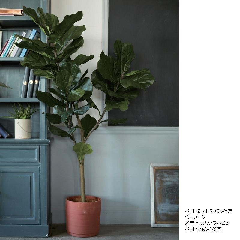 人工観葉植物 カシワバゴム ポット 183 （1個入り） 992090 （代引き 