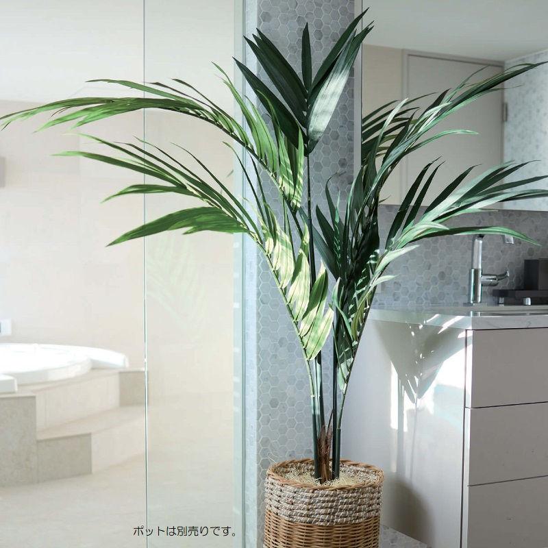 期間セール ！ 人工観葉植物 ケンチャヤシ152 （1個） bb680-0 （代引き不可） p33 【2449175094】(15912円)