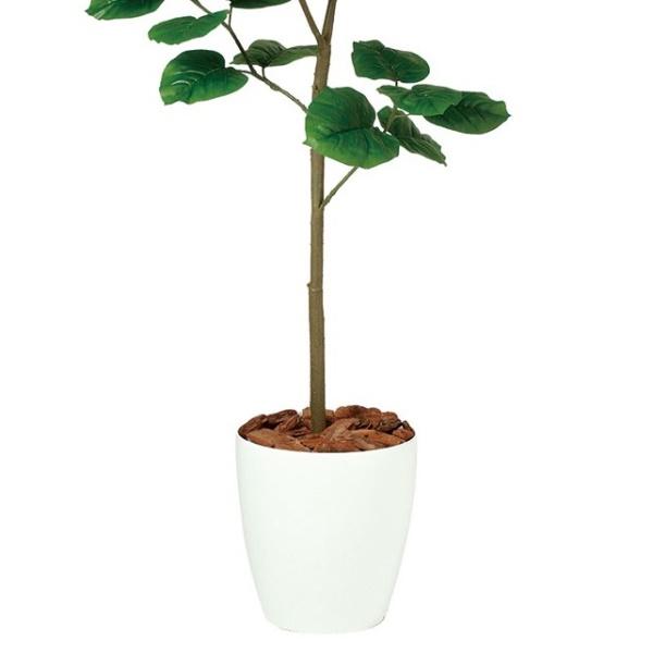 人工観葉植物 ウンベラータ FST 150cm 高さ150cm （P208-dt99103) （代引き不可）_2