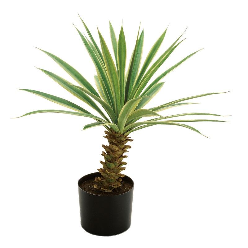 人工観葉植物 ユッカ ポット 班入り 高さ70cm （P202-fg292) （代引き