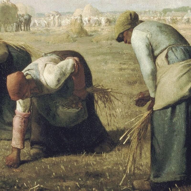 額絵 ミレー 落穂拾い F4 [G4-BM010-F4]【代引き不可】 : 人形のゆめ