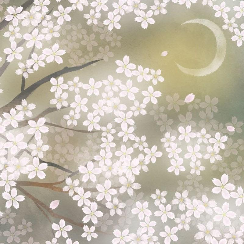 輝い 額絵 日本画 G4 Bk060 F6 代引き不可 森山観月 F6 三日月夜桜 春飾り 花鳥画 タペストリー Michiganestateplanning Com