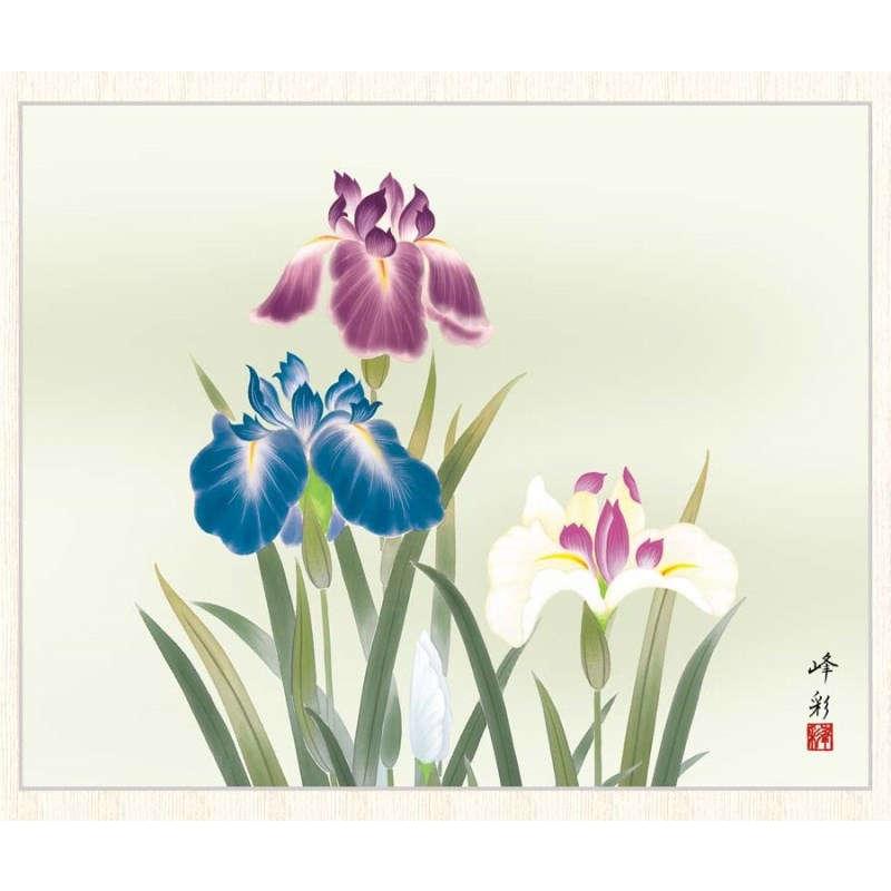 日本画 園田峰彩 菖蒲 F8 [g4-bk109-F8] : 人形のゆめさき - 通販