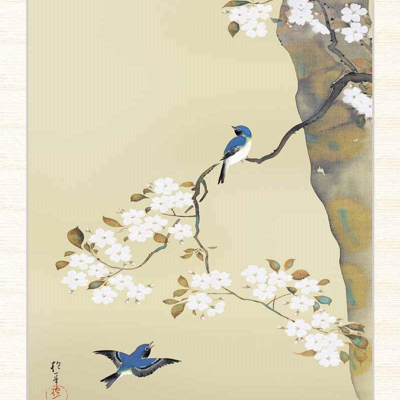 日本の名画 酒井抱一 桜に小禽図 F8 [g4-bn147-F8] : 人形のゆめさき