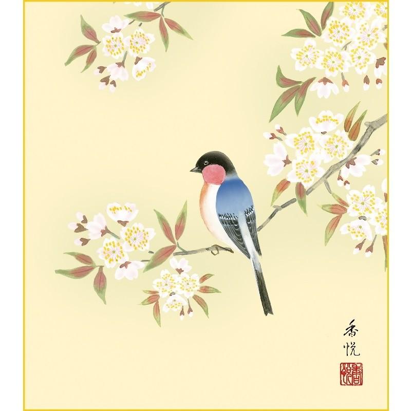 色紙絵 花鳥画 西尾香悦 桜に瑠璃鳥 四季絵 k5-020a（代引き不可
