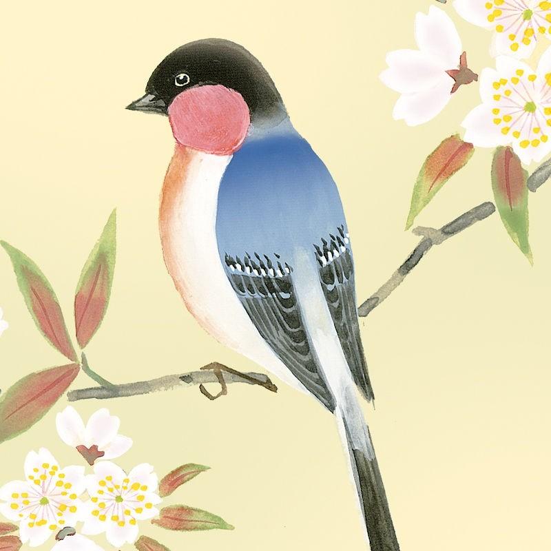 色紙絵 花鳥画 西尾香悦 桜に瑠璃鳥 四季絵 k5-020a（代引き不可