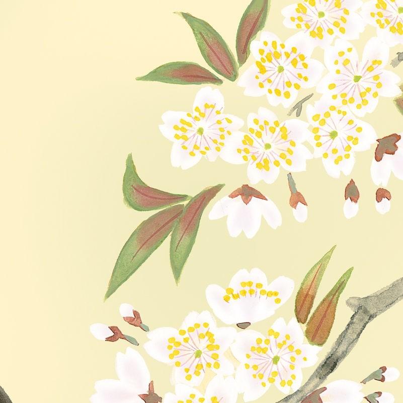 色紙絵 花鳥画 西尾香悦 桜に瑠璃鳥 四季絵 k5-020a（代引き不可