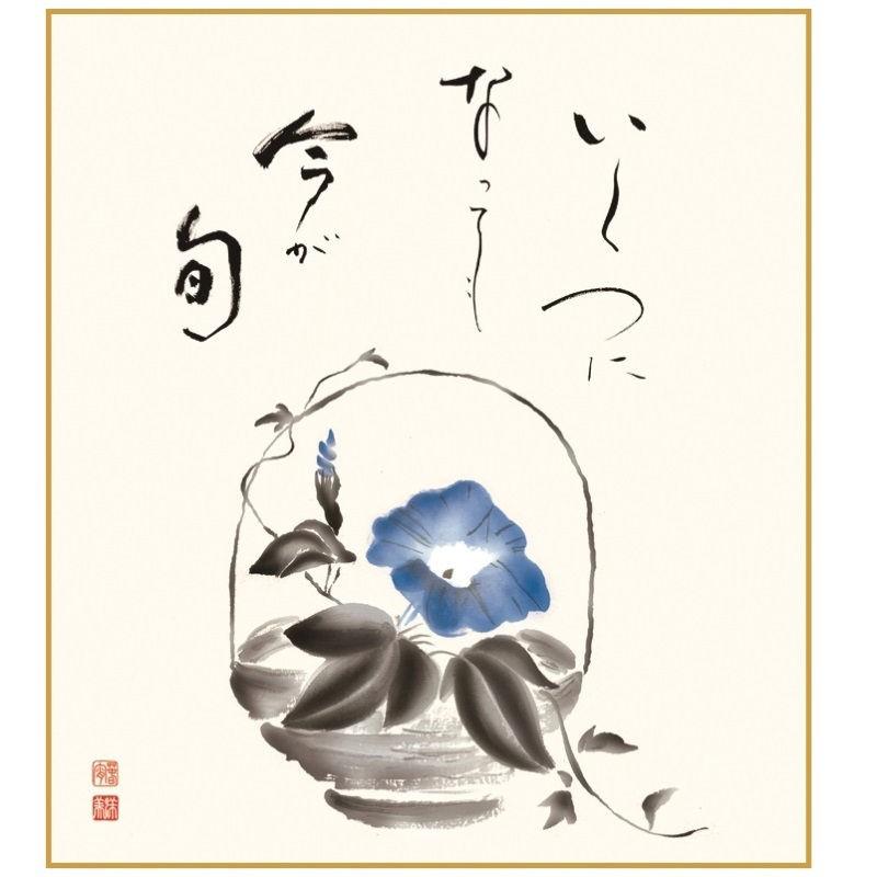 ✴︎ 朝顔 ✴︎　手描き　色紙　イラスト 色紙絵 【朝顔】[K1-22B]【代引き不可】 : 人形のゆめさき - 通販