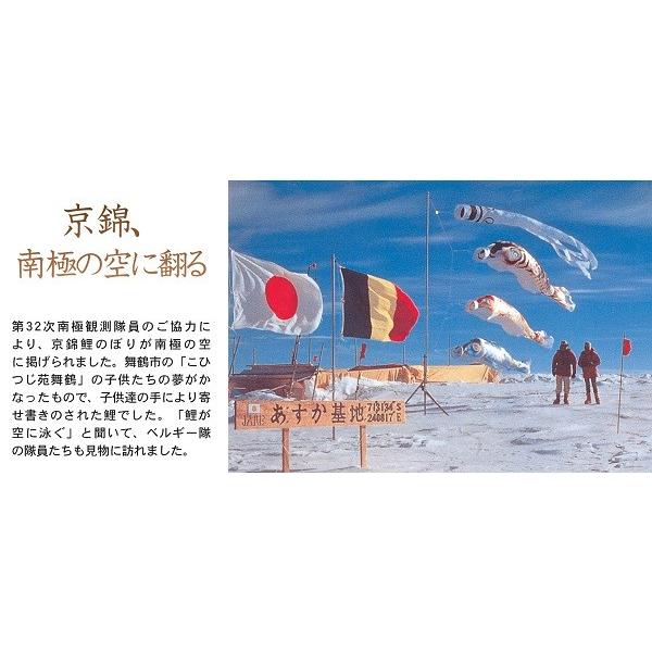 徳永 鯉のぼり 庭園用 ガーデンセット 杭打込式 ポールフルセット 1.5m鯉3匹 京錦 桜風吹流し_8