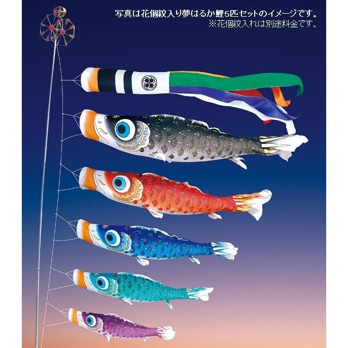 徳永 鯉のぼり 庭園用 ガーデンセット 杭打込式 ポールフルセット 3m鯉