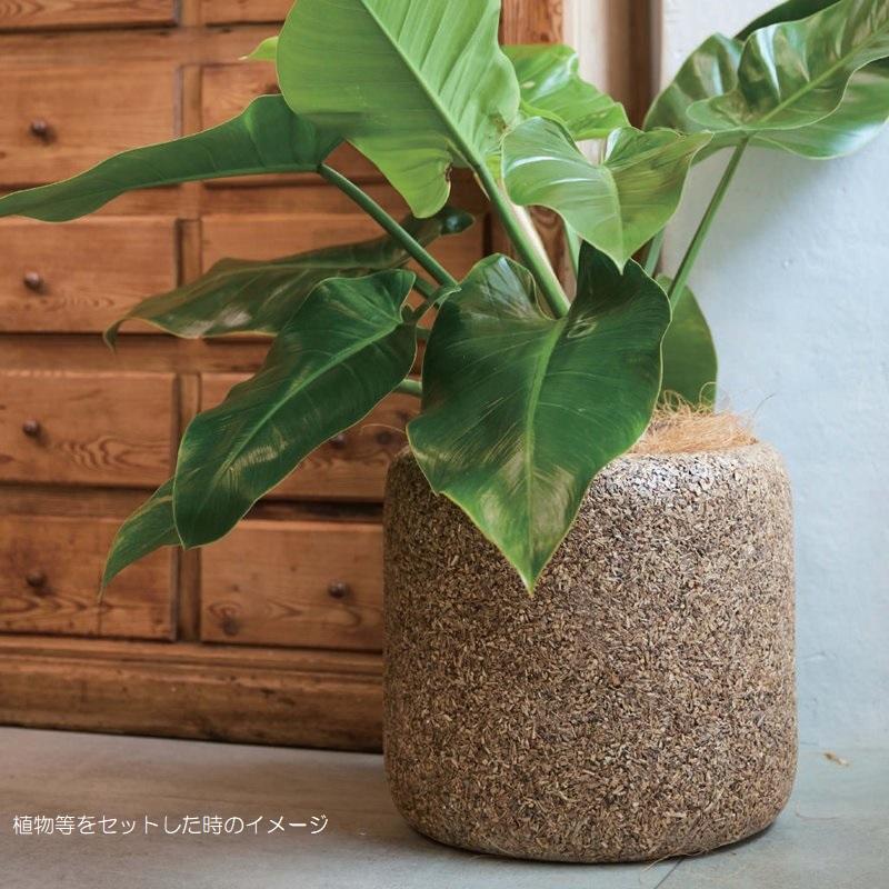 花・観葉植物用ポット ネイチャーズキャスト Rシリンダー M 42/B 1個入り kol-nc4w4e [KTp357]（代引き不可）の画像