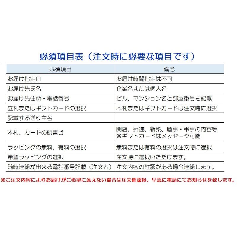 蘭生花 白＆ピンク大輪 MIX 2本立ち 22輪程度 つぼみ含む  （P1482） 当選祝 契約蘭農園直送 ラッピング出荷｜yumesaki｜08