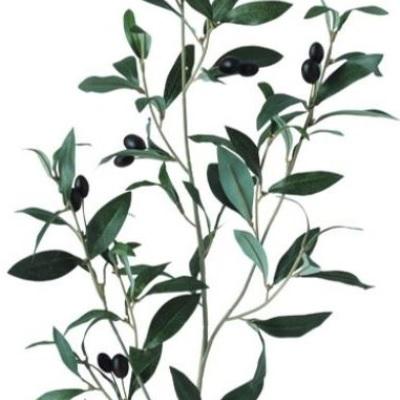 人工観葉植物 ブラックオリーブ FST 150 ポット付き 高さ150cm （P79-91623) （代引き不可）_1