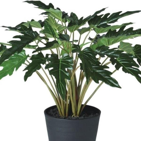 人工観葉植物 クッカバラ ポット付き 高さ50cm （P111-91891) （代引き 