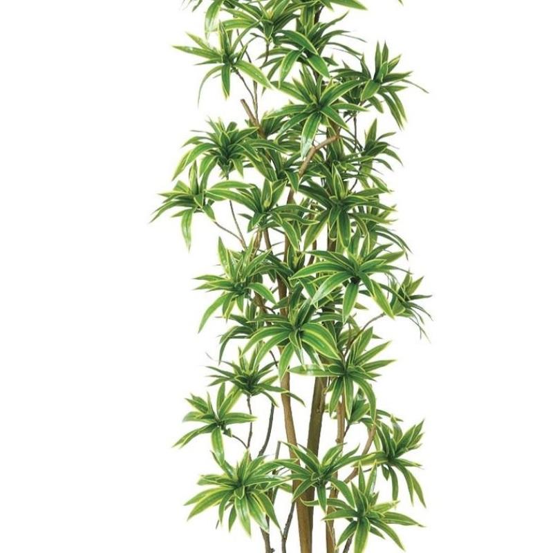 人工観葉植物 ソング・オブ・インディア FST 180 ポット付き 高さ180cm 
