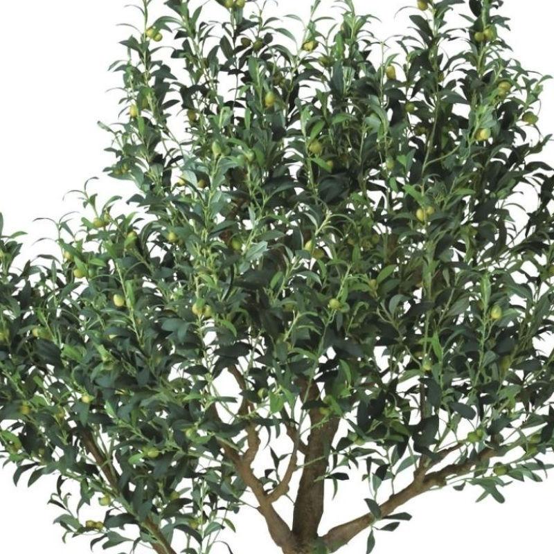 人工観葉植物 ライプオリーブ コアッド 200 高さ200cm （P17-99370) （代引き不可）_1