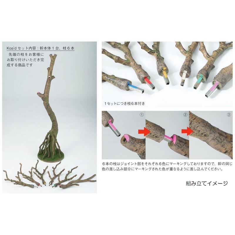 人工観葉植物 ライプオリーブ コアッド 200 高さ200cm （P17-99370) （代引き不可）_2