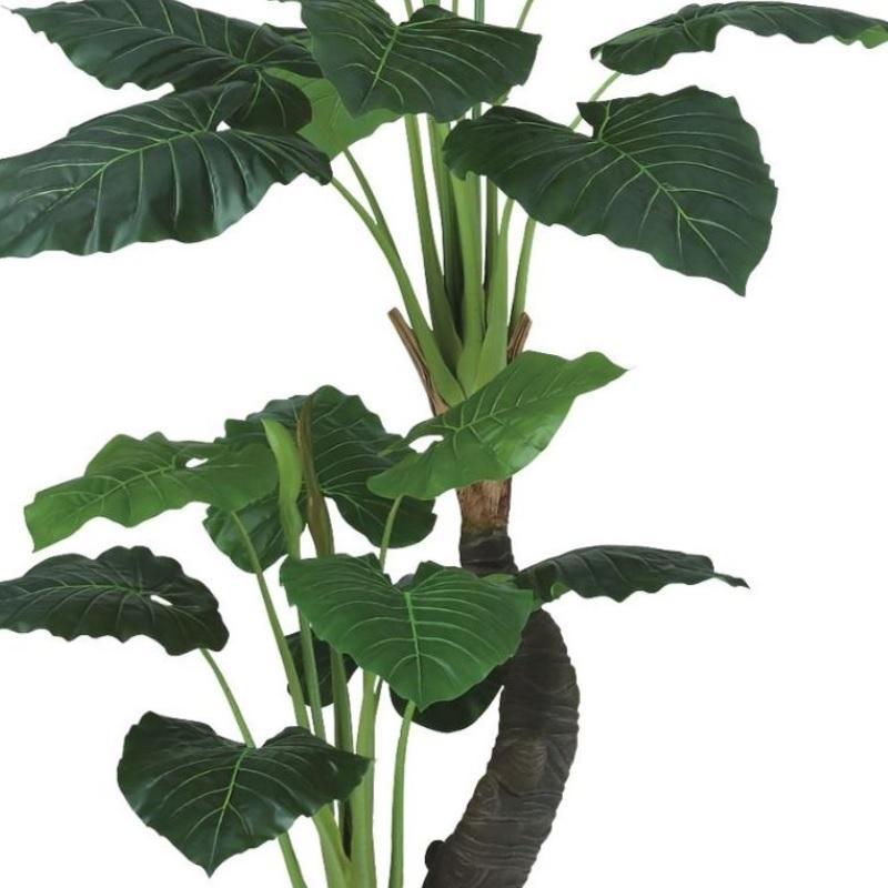 人工観葉植物 クワズイモ株立 160 ポット付き 高さ160cm （P94-99396