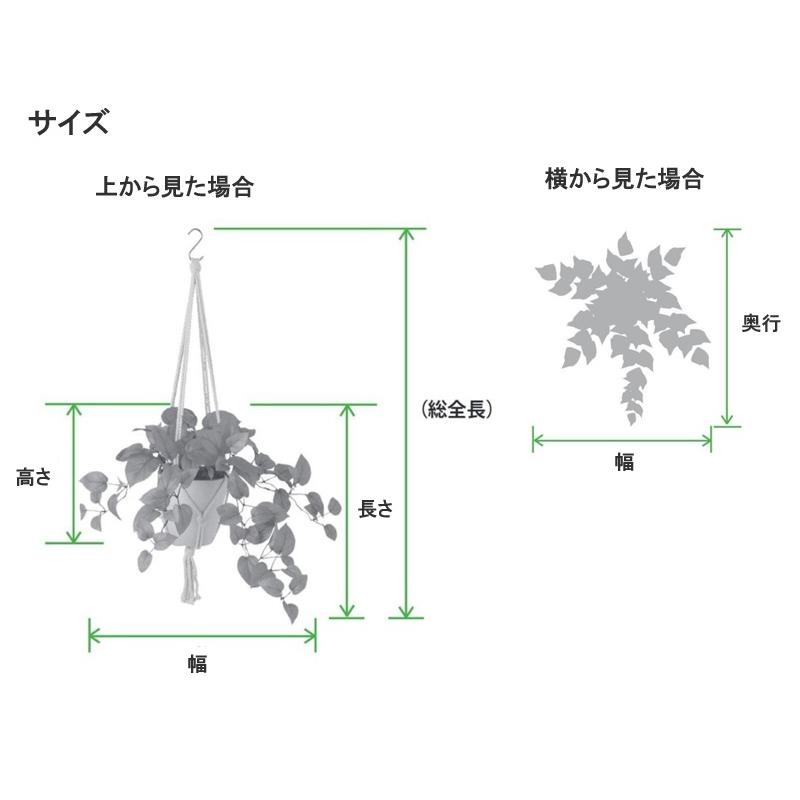 人工観葉植物 オリヅルラン G ハンキング ポット付き 高さ25×長さ30（総全長約75）cm （P117-99545) （代引き不可）の画像