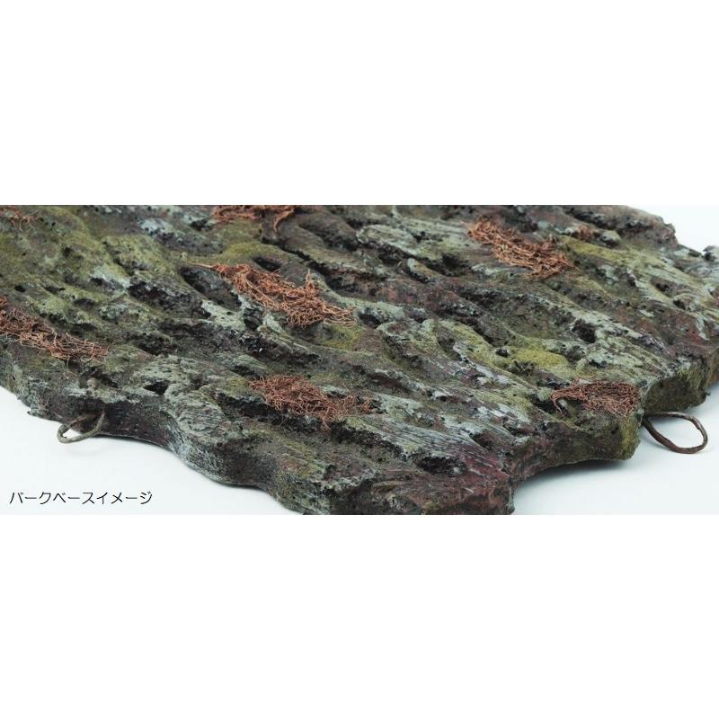 人工観葉植物 モンステラ デコ ウォールハンキング 高さ60cm （P23-99558) （代引き不可）の画像