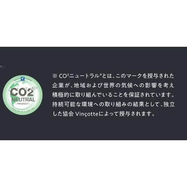 インテリア ポット プランター Capi Europe ネイチャー リブスクエア Sサイズ （IV） 高さ30cm （P159-99580) （代引き不可）の画像