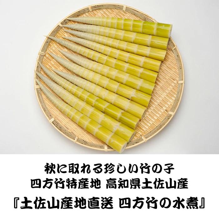 【THE TIME,やZIP!で取上げられました｜2023年度 販売中】高知県 四方竹の水煮 真空パック 1パック 200g／パック｜四方竹 竹の子 たけのこ タケノコ｜yumesanchi｜02