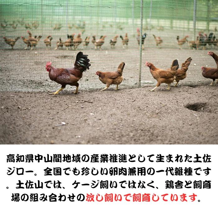 産地直送 有精卵 平飼い 土佐ジローの卵 キミガイイ 土佐山産 10個 土佐ジロー 高知 地鶏 平飼 平 放飼 放飼い 卵 たまご タマゴ 有精 地鶏 土佐山マルシェ 産地直送 通販 Yahoo ショッピング