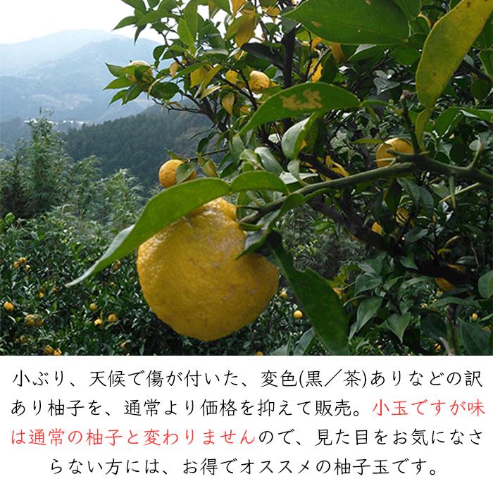 25 Off 高知県土佐山産 柚子玉 5kg 約50 85個 柚子 柚 ゆず ユズ Yuzu 果実 実 果物 生 皮 器 玉 Demo Ibcl Lu