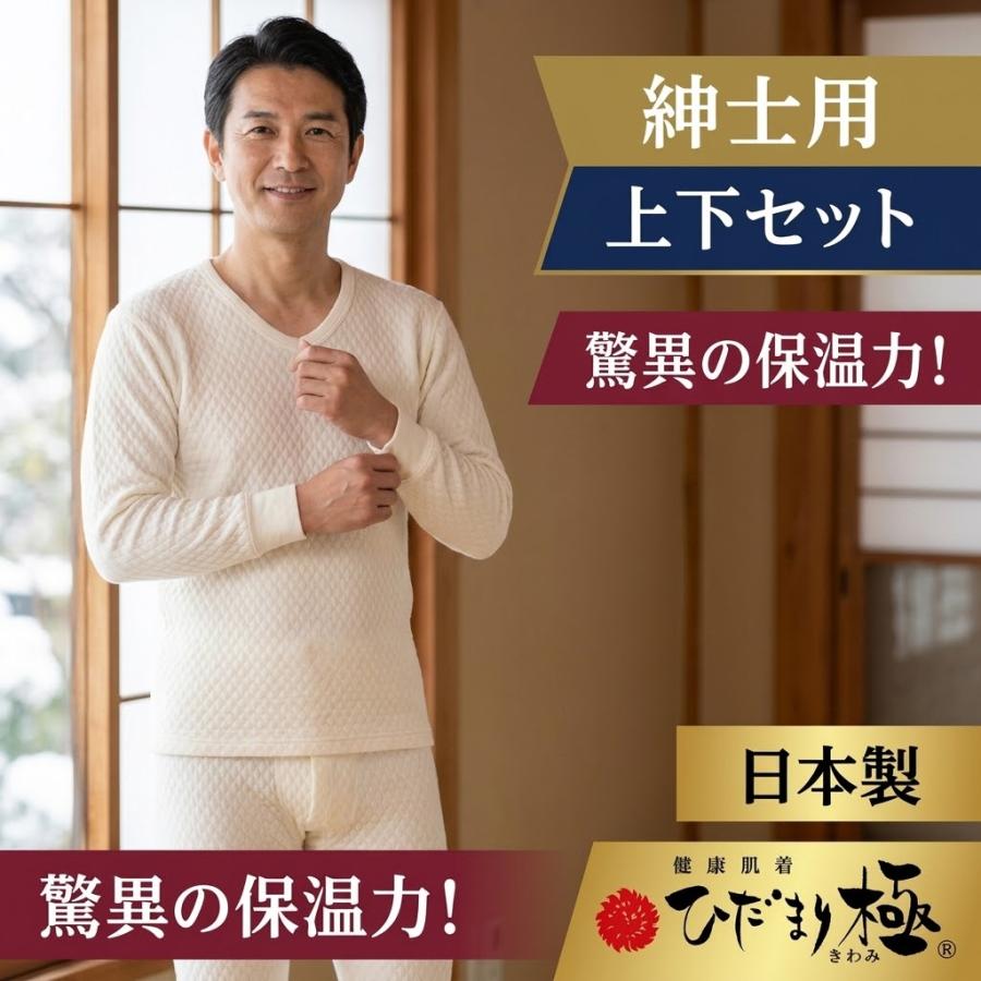 ひだまり 紳士用 上下セット ひだまり極 健繊 健康肌着 ズボン下 長袖U