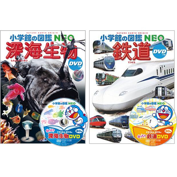 【おまけ付】選べる 小学館の図鑑NEO 専用BOX付5冊セット 25種類から選べます 新刊も｜yumetamago｜12